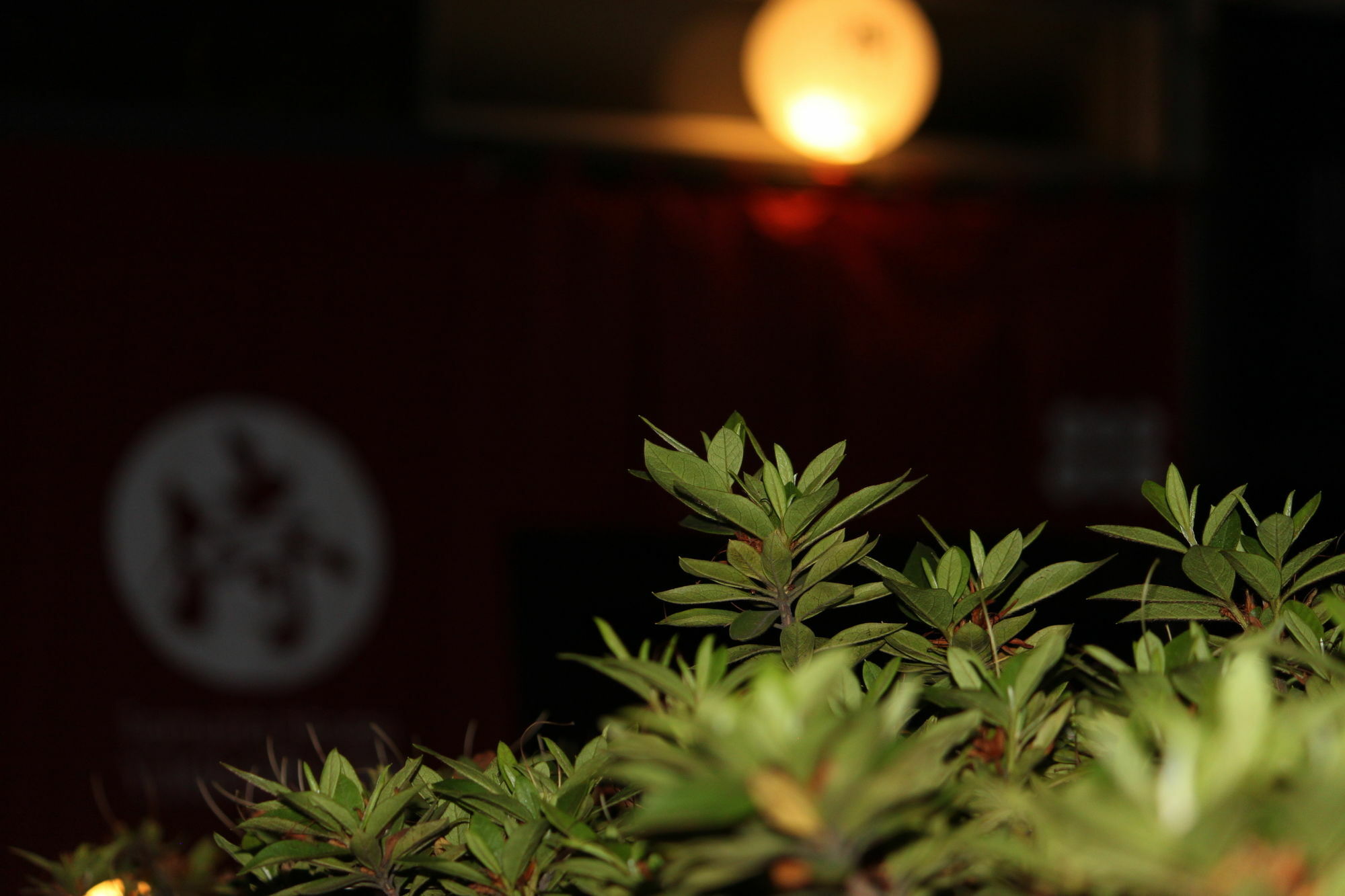 Samurai House Yukimura Tokio Buitenkant foto